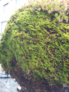 2014-04-27 09.07.11