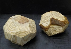 DSCN2198