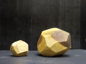 DSCN2264